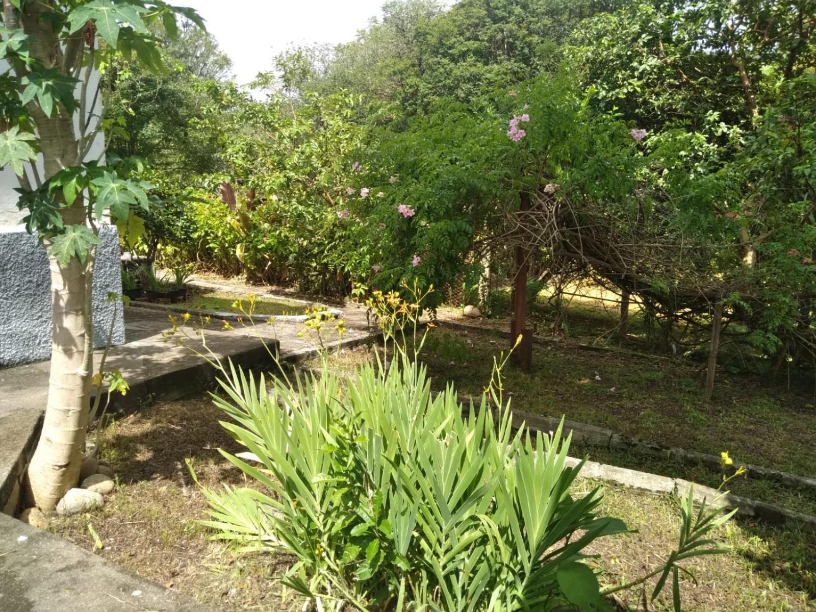 הוילה Casa Delicia Em Passa Quatro Ate 6 Pessoas מראה חיצוני תמונה